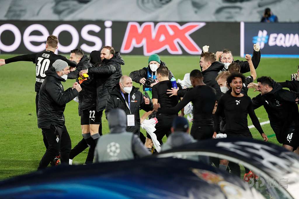 pp拉西环填料阻燃带刺花环填料废气塔净化环保球水洗泰勒花环